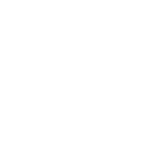 Sentinel Patriot